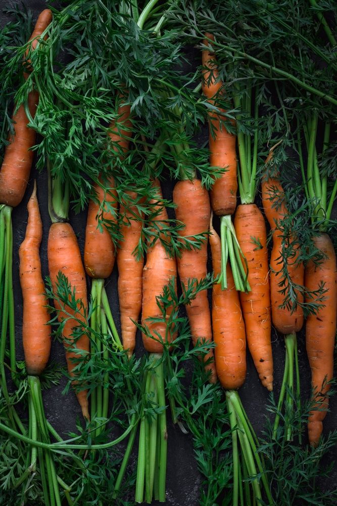 Cooking Carrots: Is It Better to Eat It Raw or Cooked?