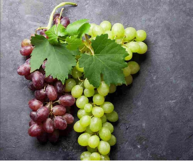 All the benefits and properties of grapes