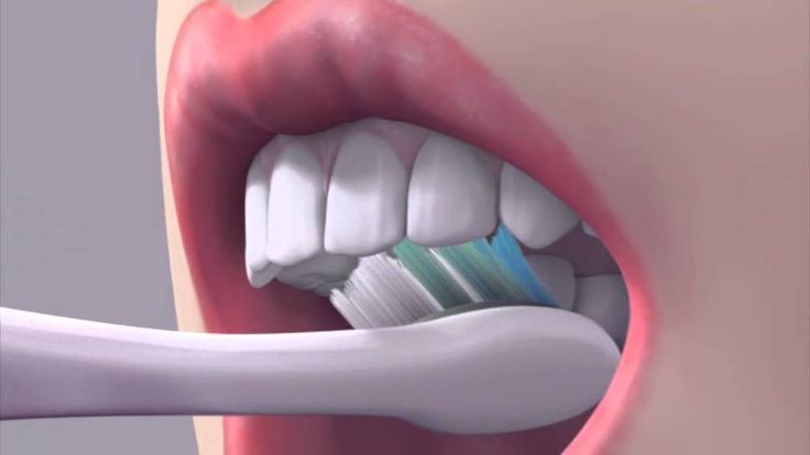 How to brush your teeth correctly?